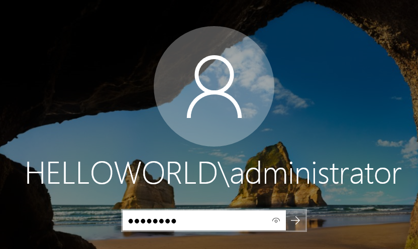 image-20240210194053038