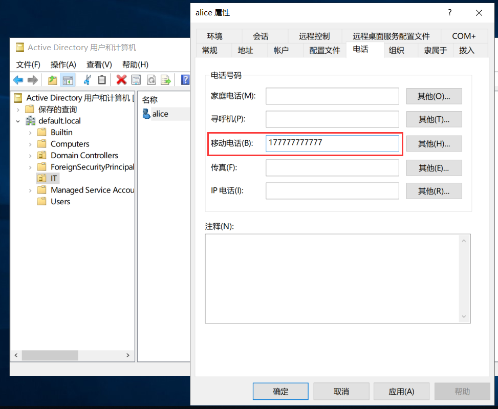 image-20240210210225352